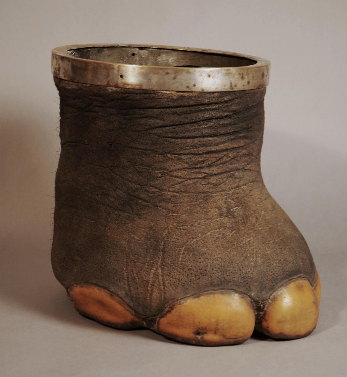 Victorian elephant foot with metal rim