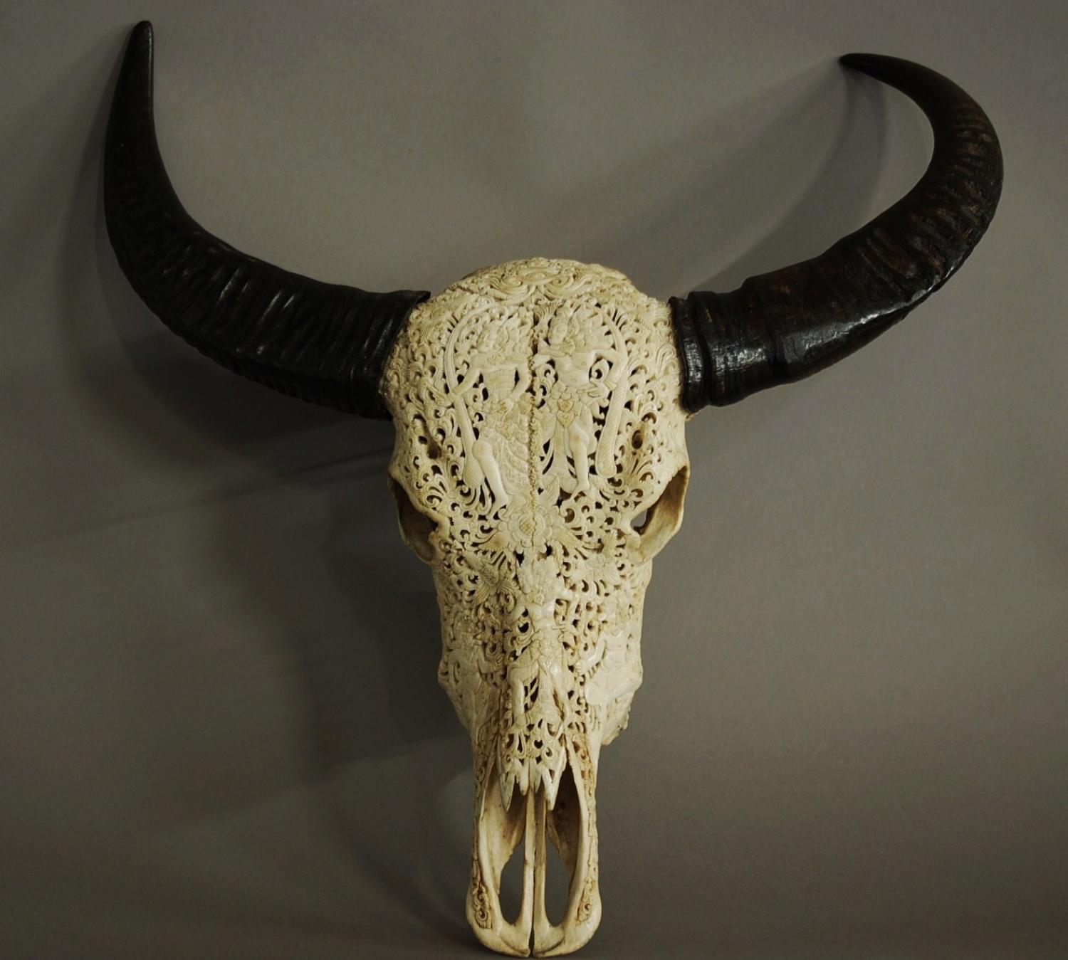 Late 19th century carved buffalo skull
