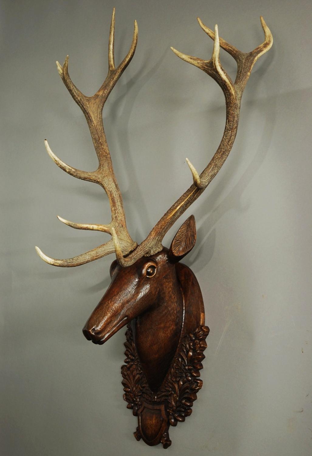 Large life size carved oak stags head trophy