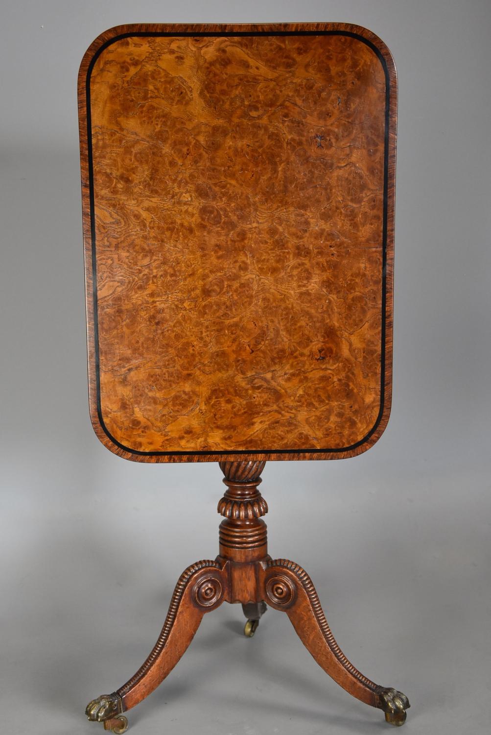Rare fine quality early 19th century Regency burr oak tilt top table