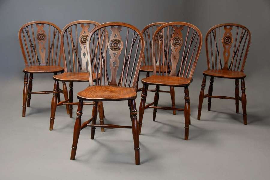 Rare set of six 19thc yew wood low back Windsor chairs of super patina