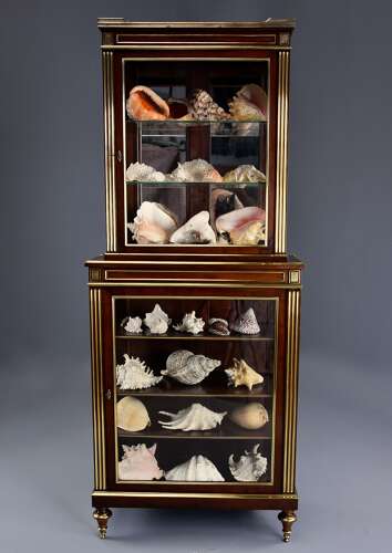 Highly decorative late 19thc French Directoire style mahogany vitrine or display cabinet